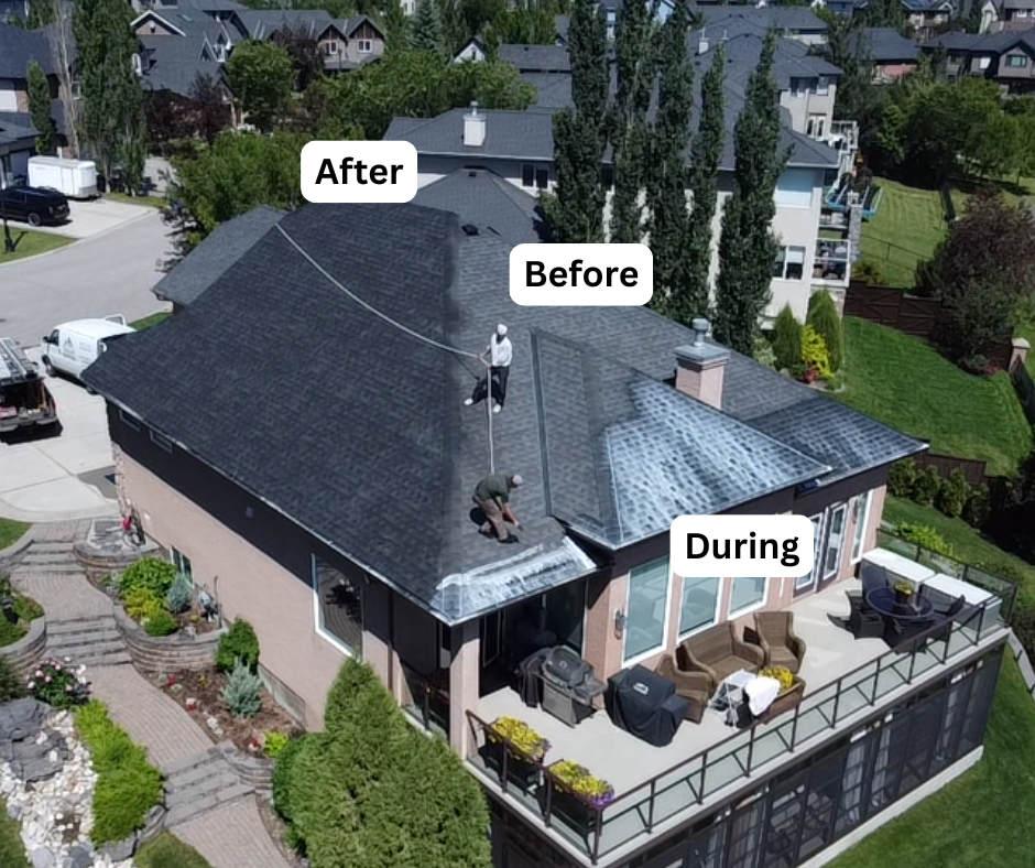 Niagara bungalow before, during, and after GreenSoy rejuvenation